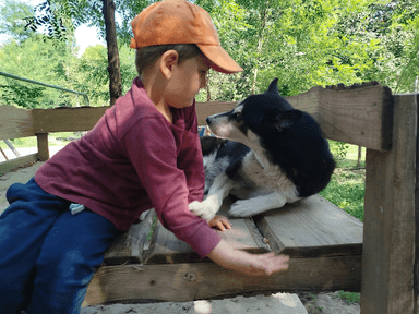 Prévention canine